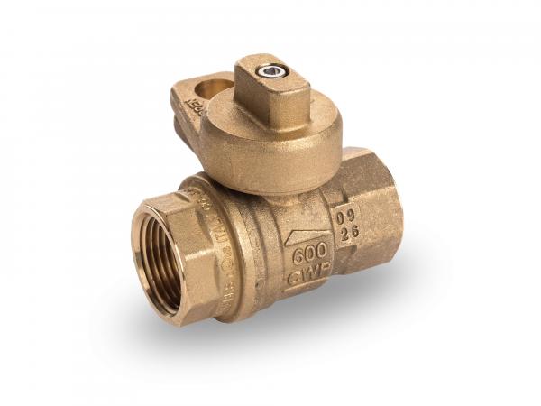 ball valves s80 npt